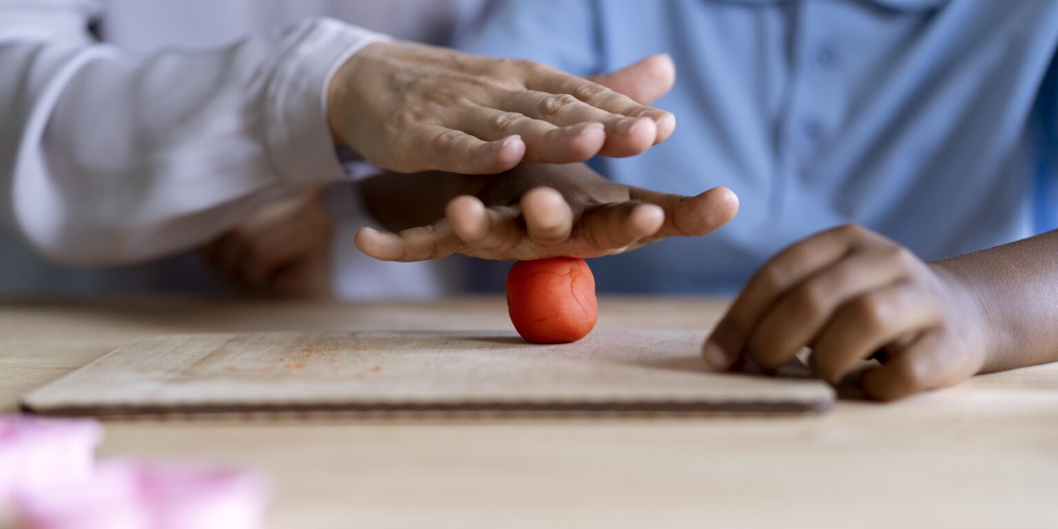 what is vocational rehabilitation
