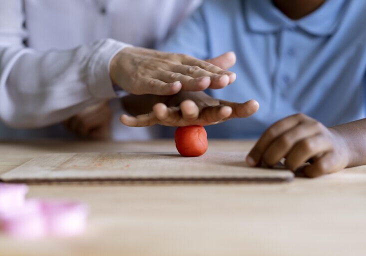 what is vocational rehabilitation